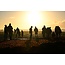 Three Day Nature Photography Workshop - May 21st