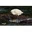 Three Day Nature Photography Workshop - May 21st