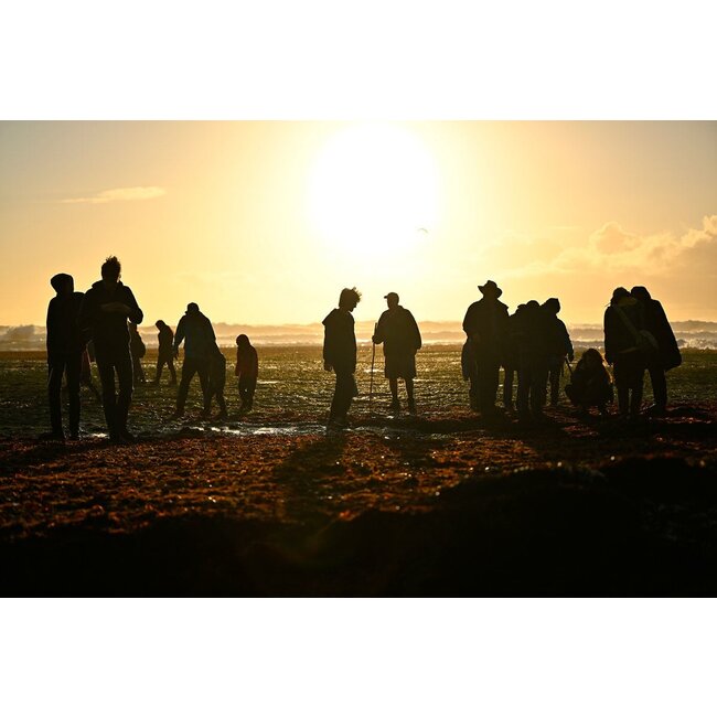 Early Morning Tide Pools Adventure - May 28th