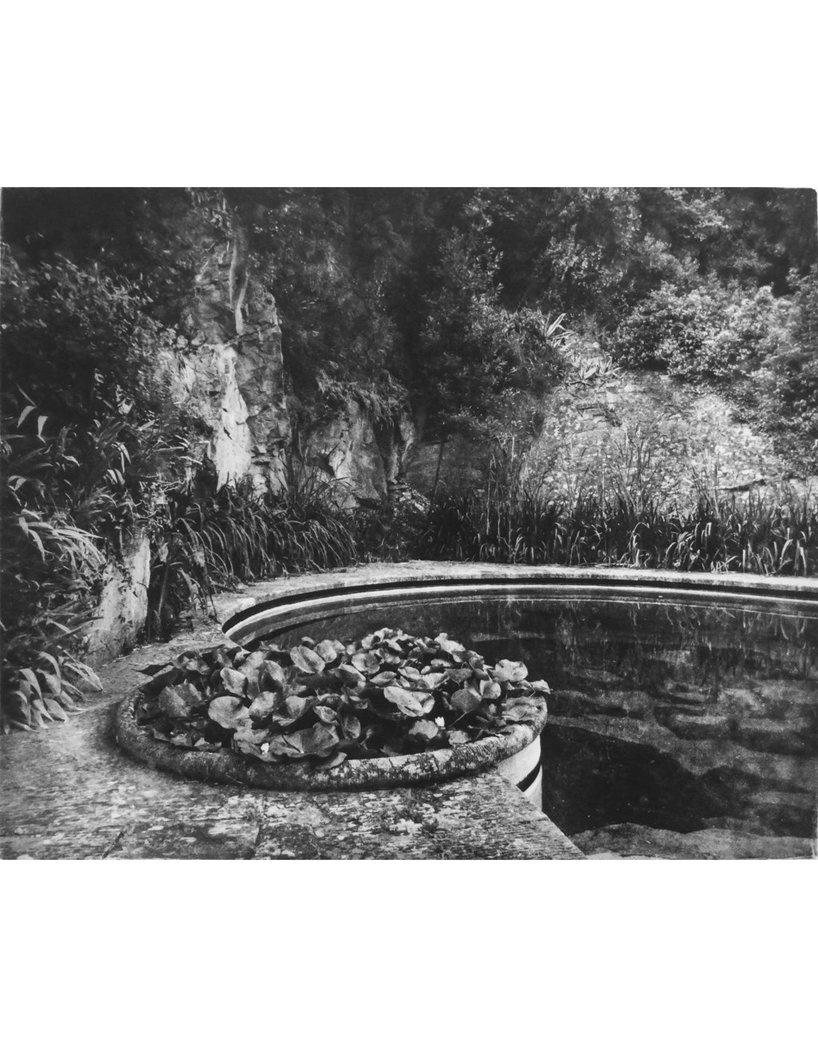 McLachlan, Ted Villa Fontanelle, Florence - Lotus Pool, Ted McLachlan