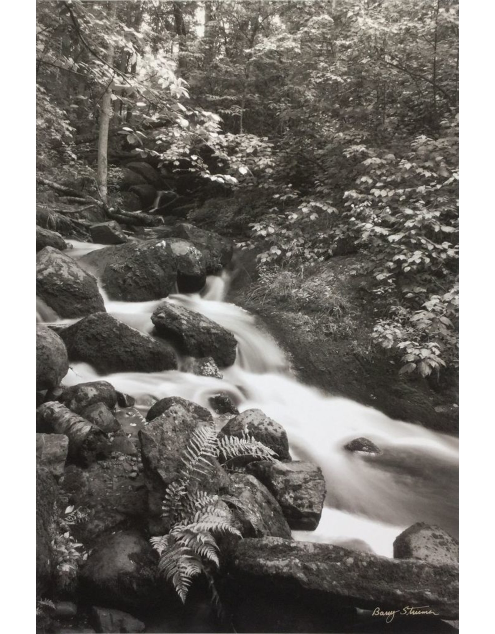 Striemer, Barry McGillivray Falls, Barry Striemer