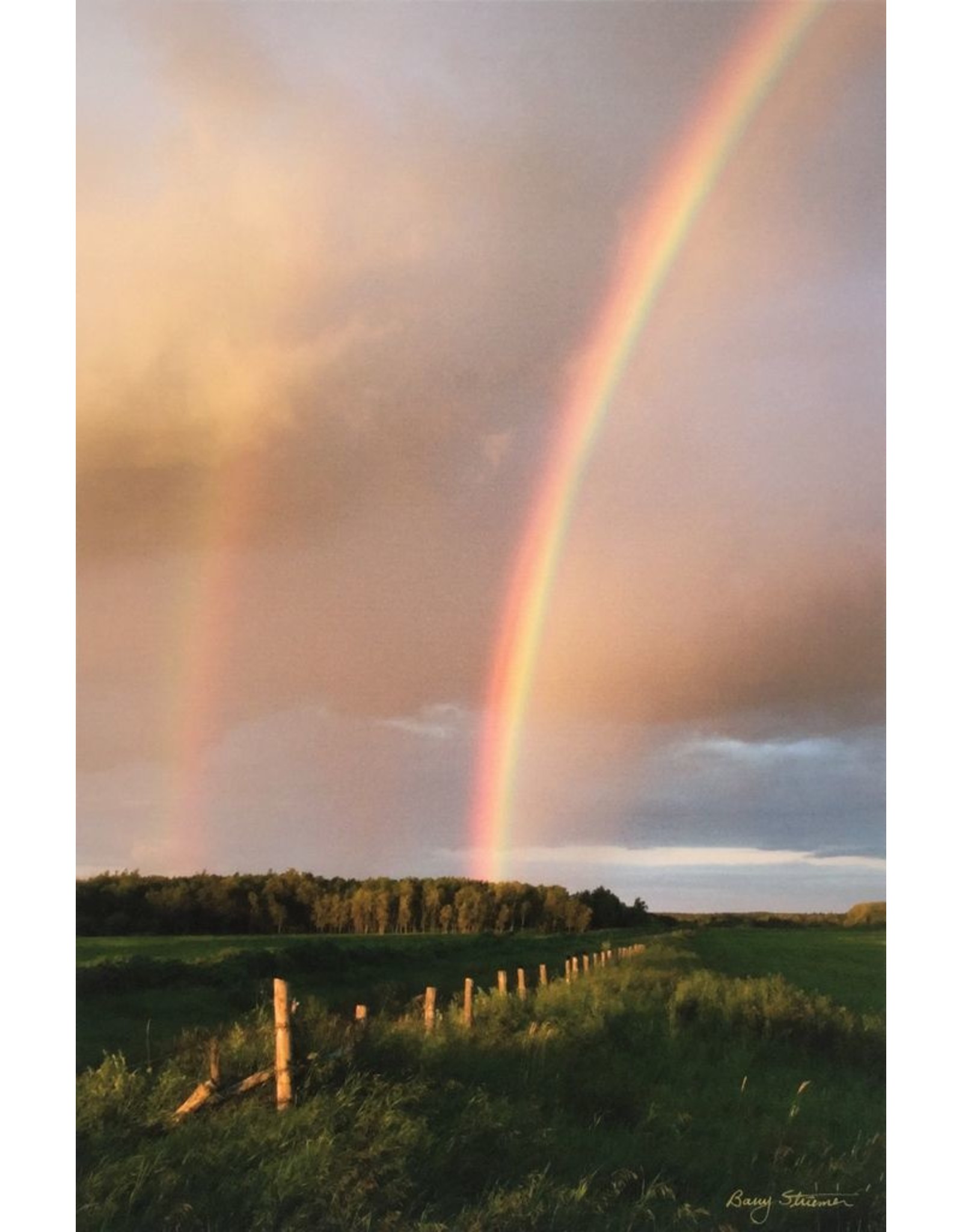 Striemer, Barry Double Rainbow, Barry Striemer