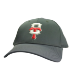 THE GAME TITANS GAMECHANGER LOW-PROFILE GRAPHITE CAP