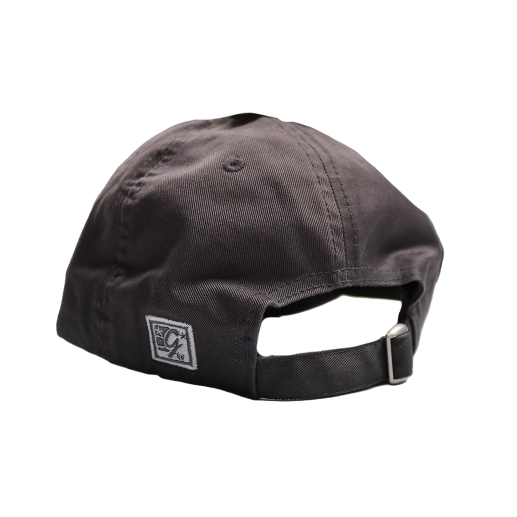 THE GAME TITANS CHARCOAL DAD CAP