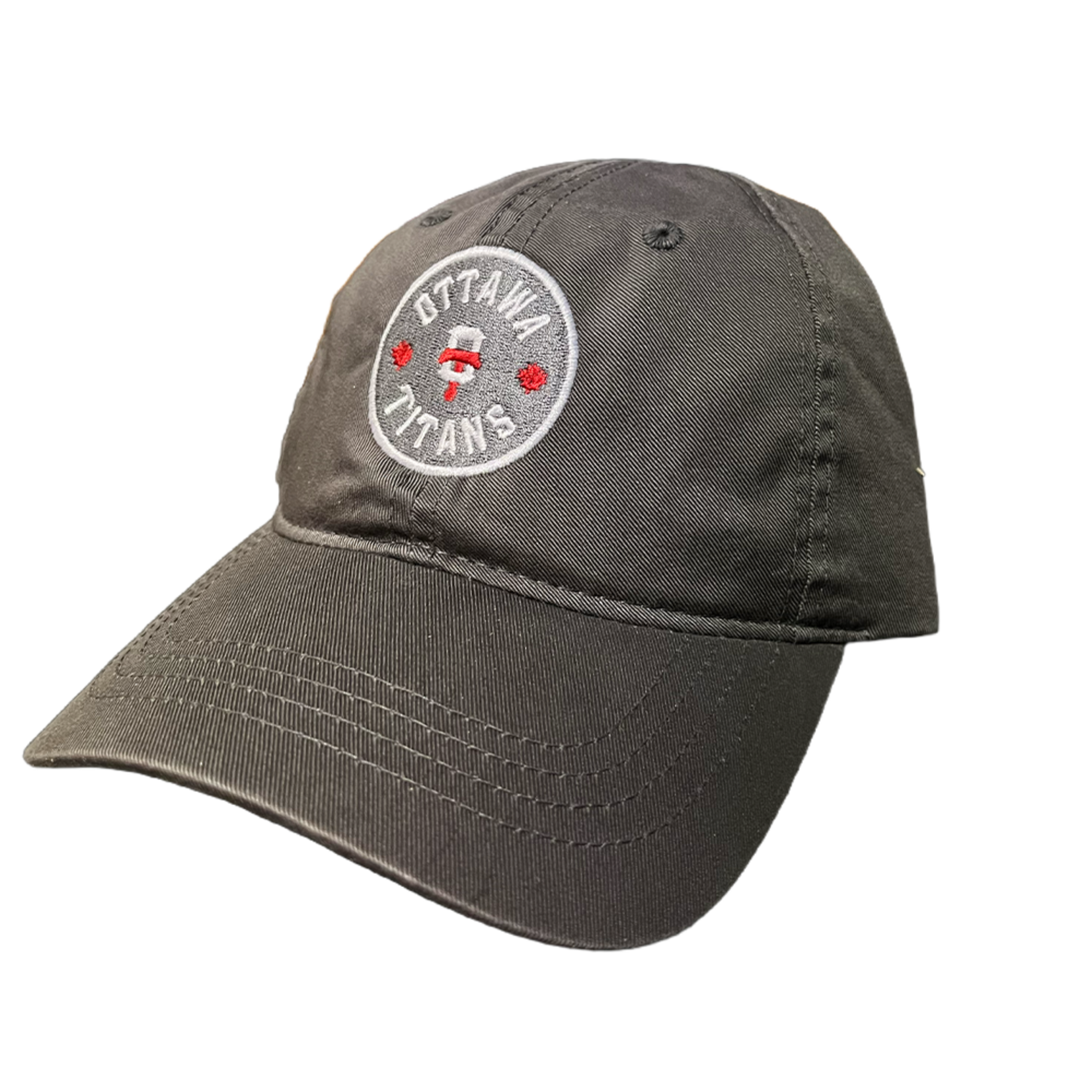 THE GAME TITANS CHARCOAL DAD CAP