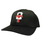 THE GAME TITANS NEOCOOL LOW PROFILE BLACK CAP
