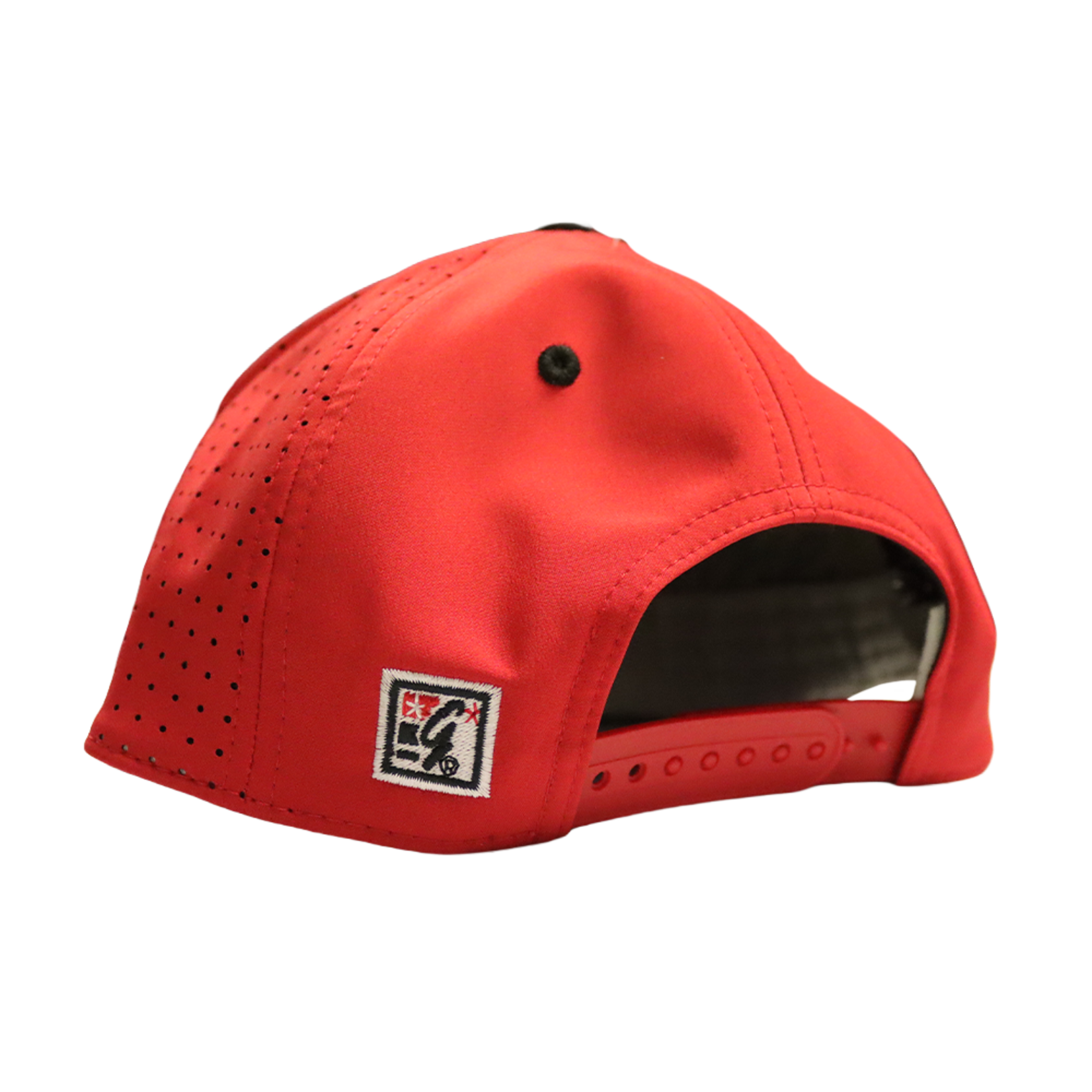 THE GAME TITANS GAMECHANGER SNAPBACK RED SKYLINE CAP
