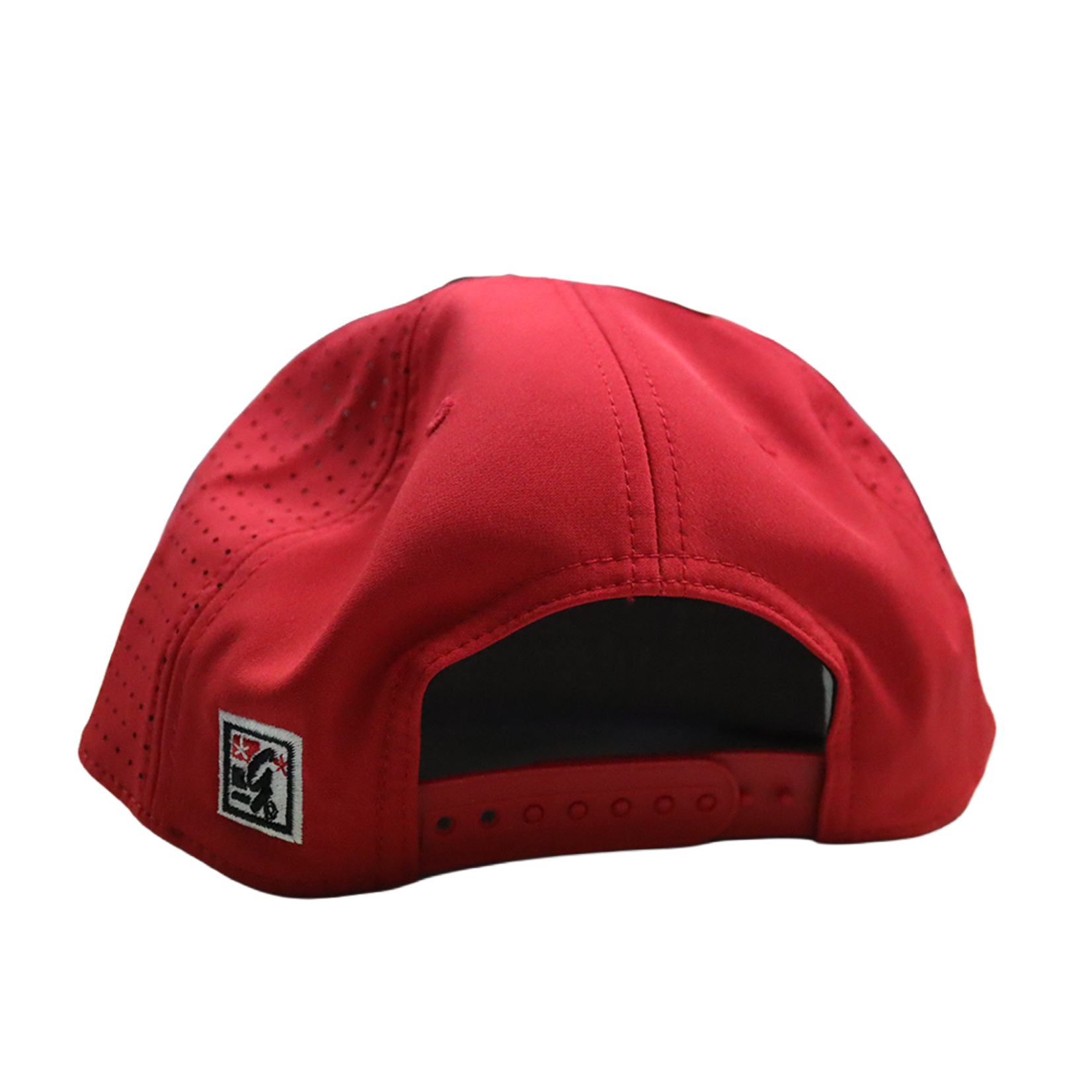 THE GAME TITANS GAMECHANGER SNAPBACK WHITE SKYLINE CAP