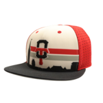 THE GAME TITANS GAMECHANGER SNAPBACK WHITE SKYLINE CAP