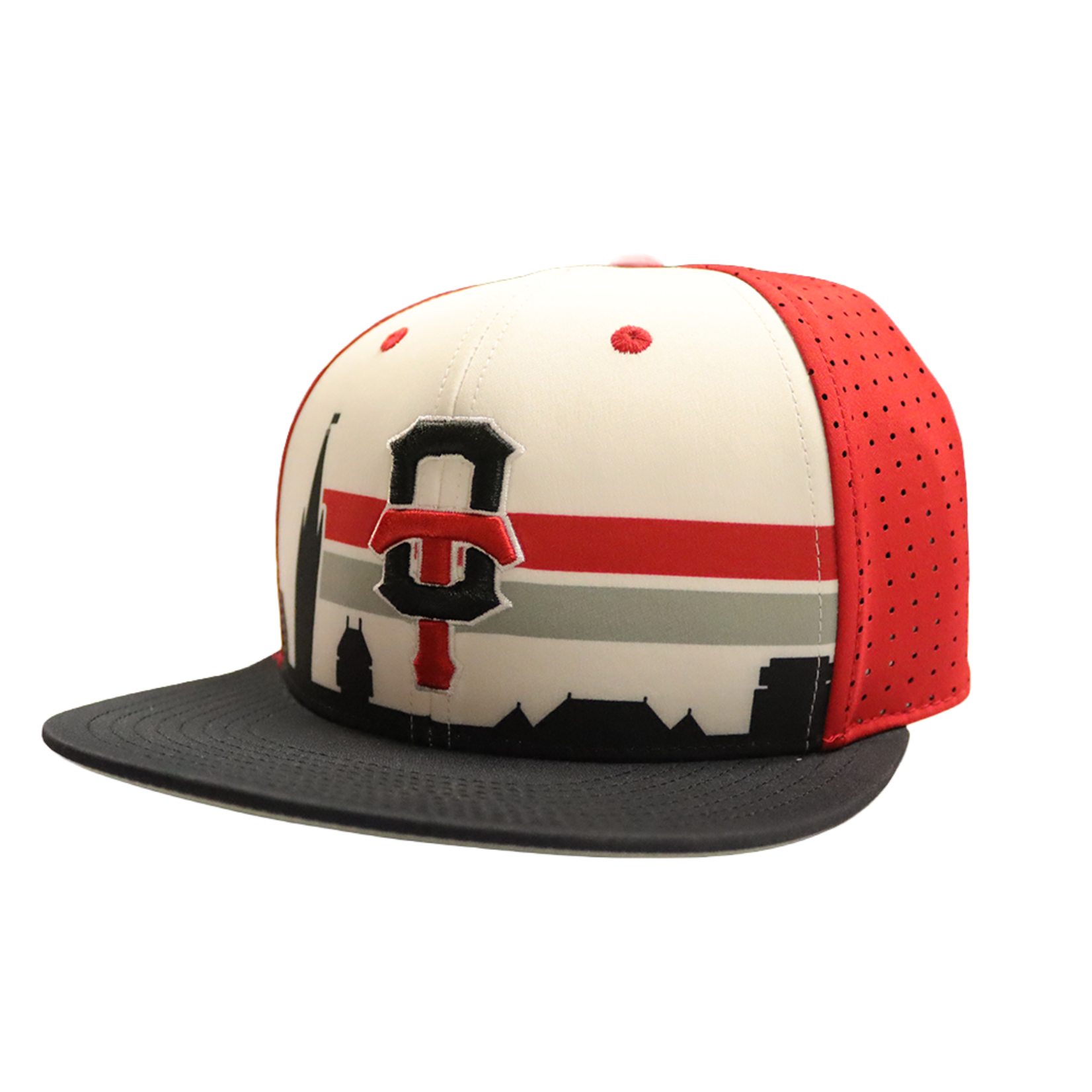 THE GAME TITANS GAMECHANGER SNAPBACK WHITE SKYLINE CAP