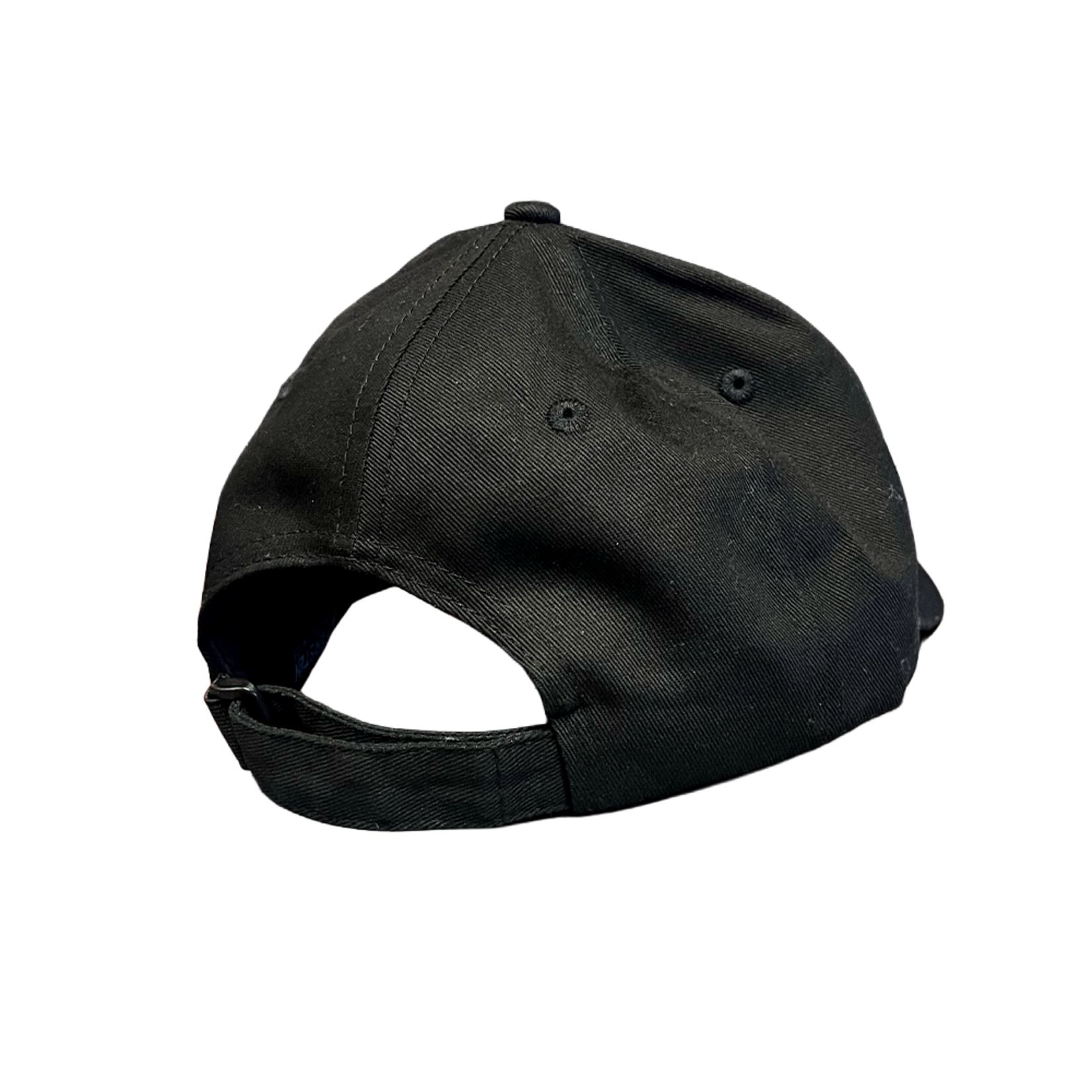 TITANS PRIDE CAP