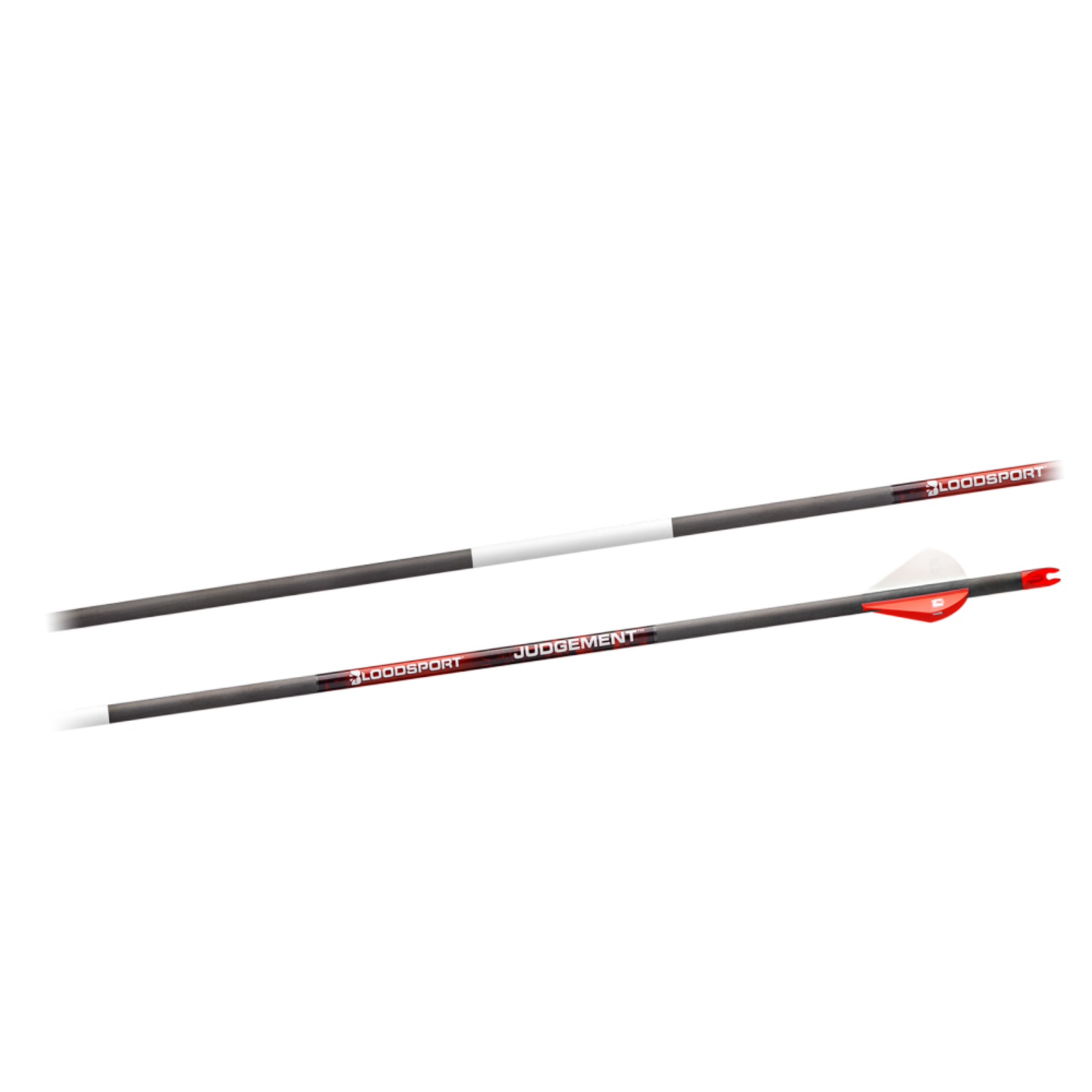 Bloodsport Bloodsport Judgement Arrows 500 .001 (6 pk)