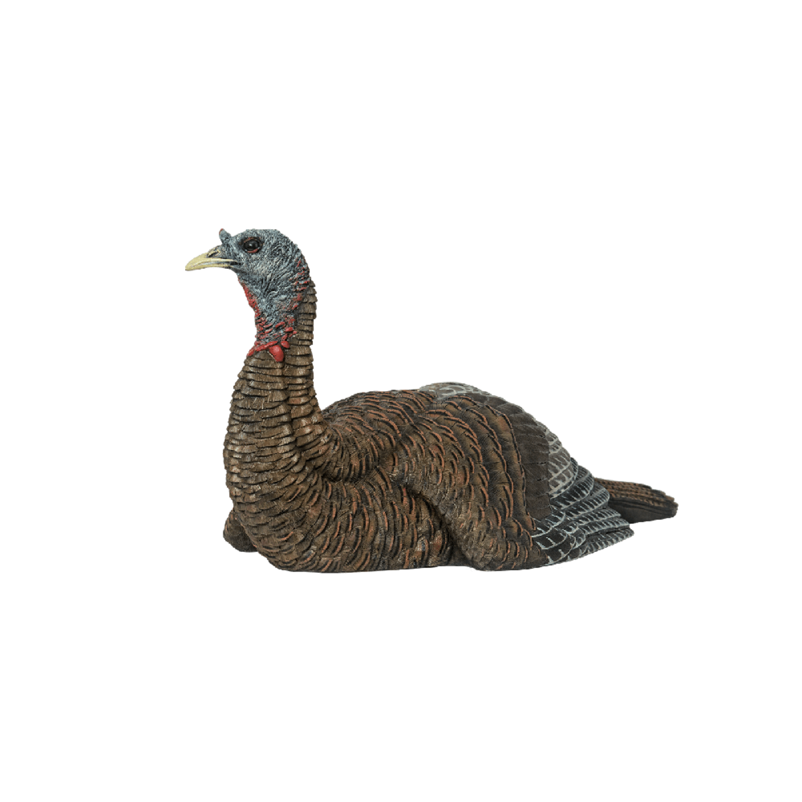 AvianX HDR