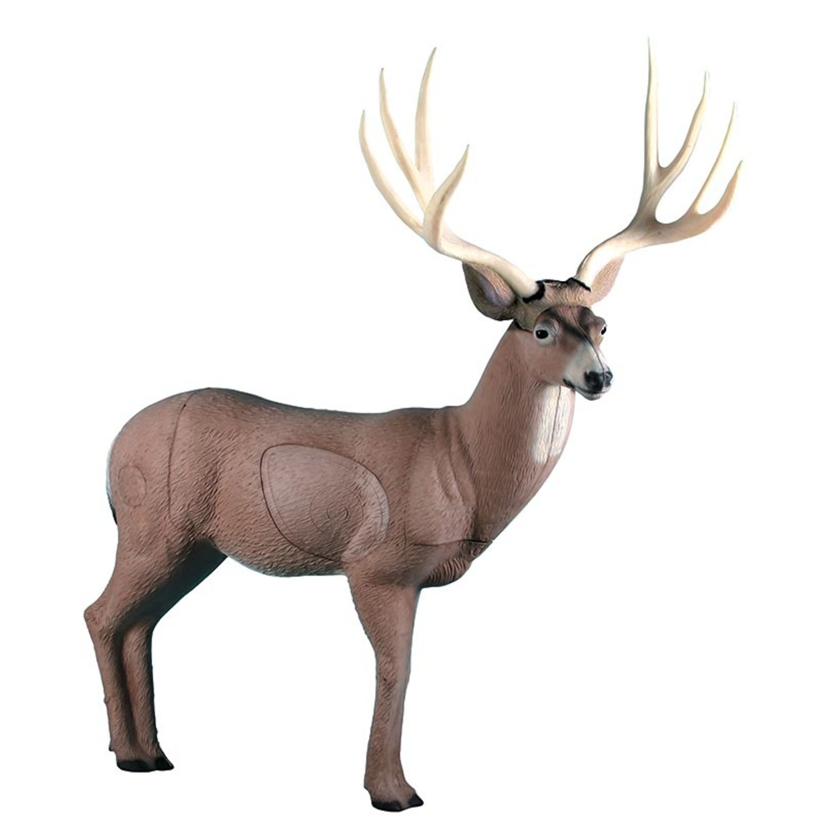 Rinehart Rinehart Semi Sneak Mule Deer Competion Buck IBO