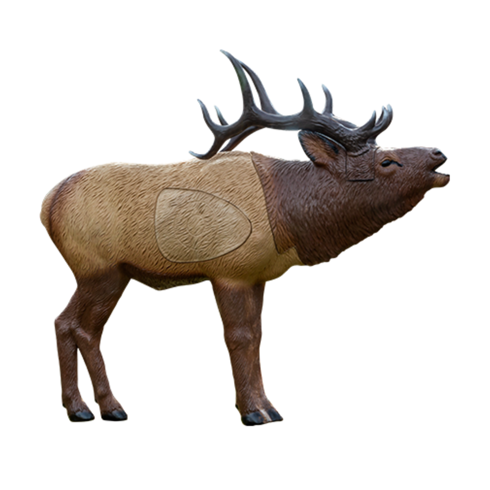 Rinehart Rinehart 1/3 Woodland Elk