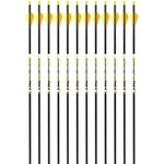 Carbon Express D Stroyer arrows 350 spine 6 pk