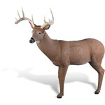 Rinehart Rinehart big ten Buck Competion  IBO