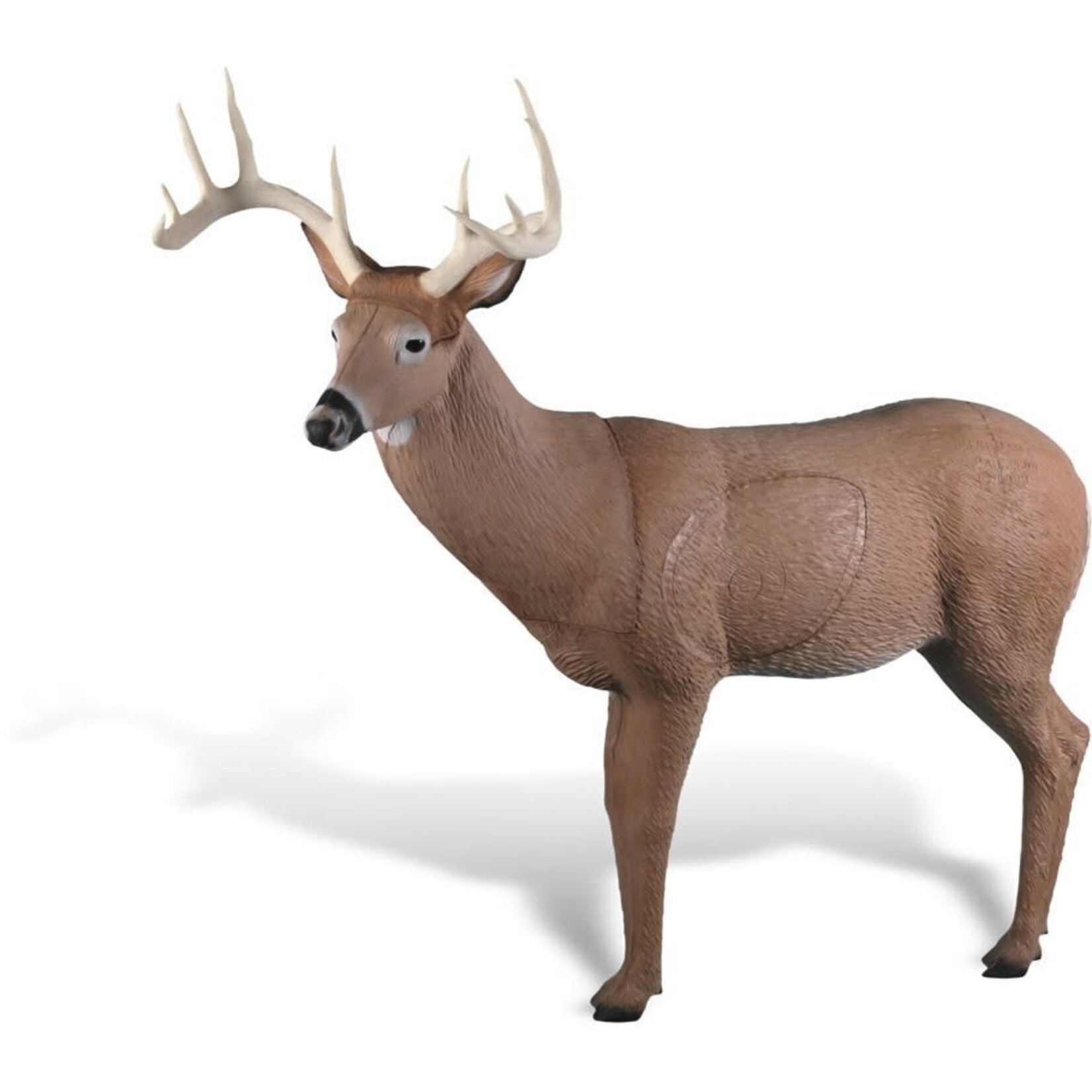 Rinehart Rinehart big ten Buck Competion  IBO