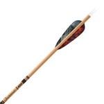 Gold Tip Gold Tip Traditional  4" Feather 500 Spine