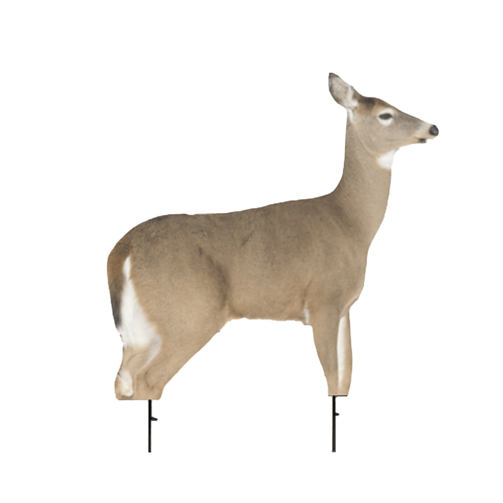 Montana Montana Whitetail Dreamy Doe Decoy