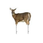 Montana Montana Whitetail  Doe Decoy Trixie