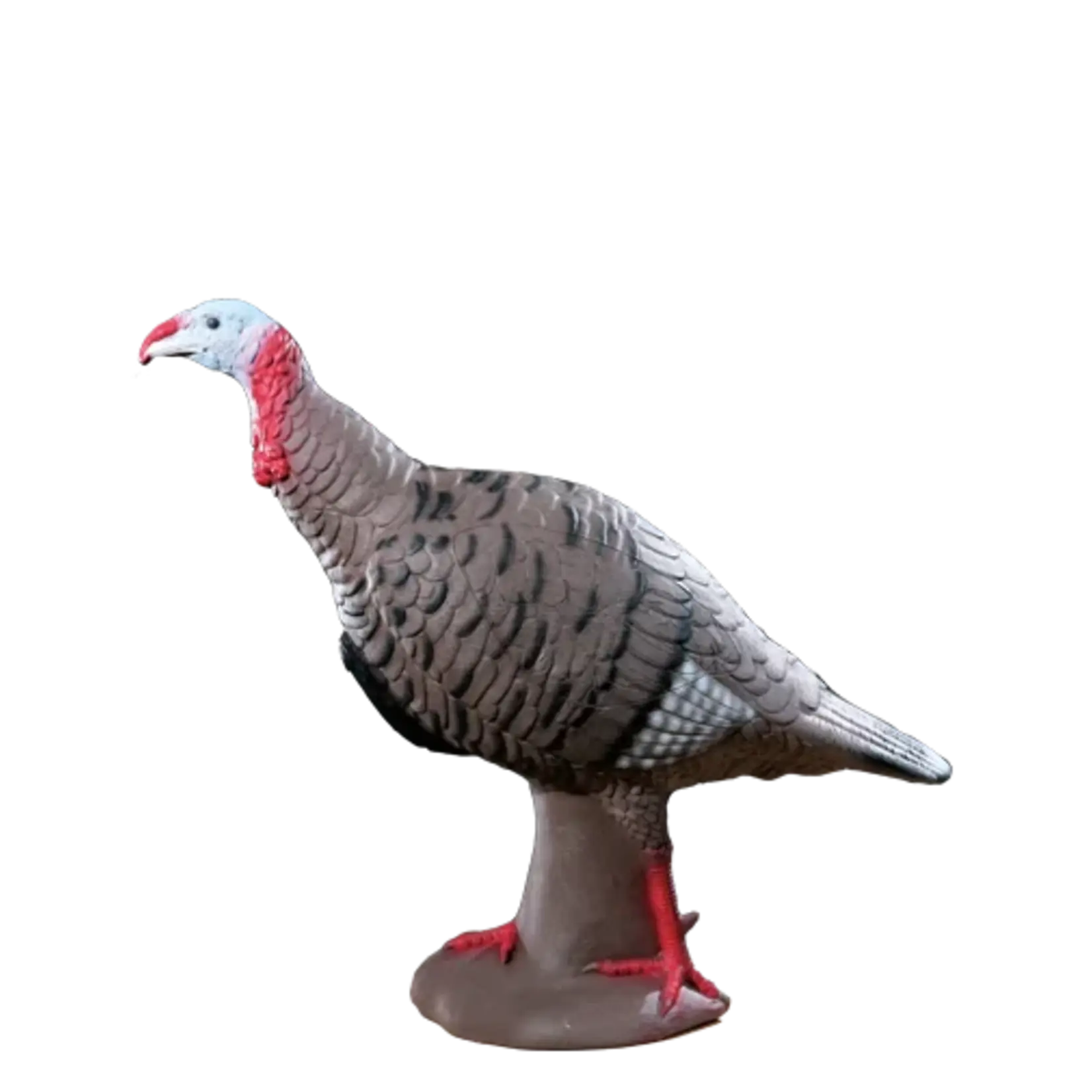 Rinehart Rinehart Tom Turkey