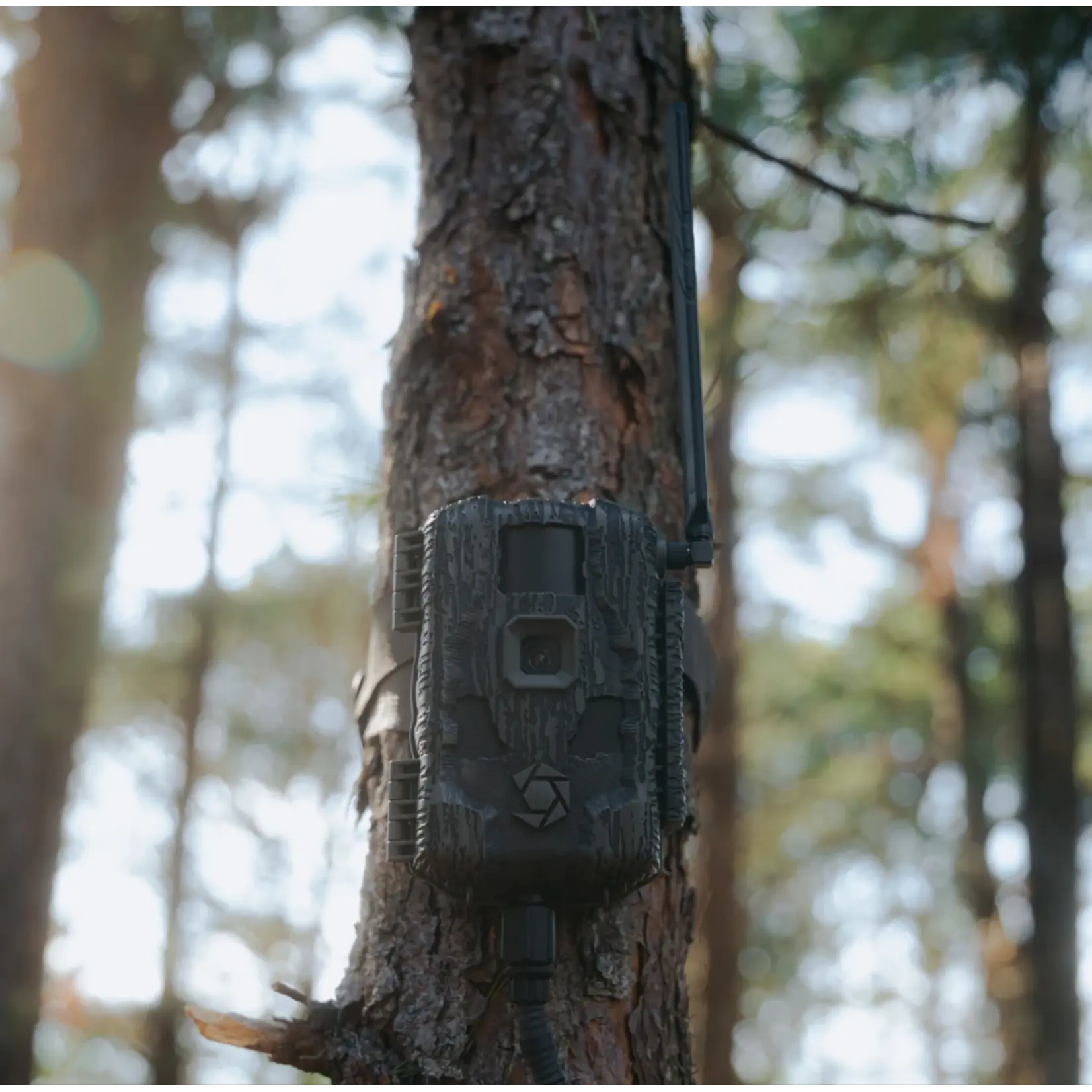 STEALTH Stealth Cam Fusion  3.0  42mp Cell Camera (2pk)