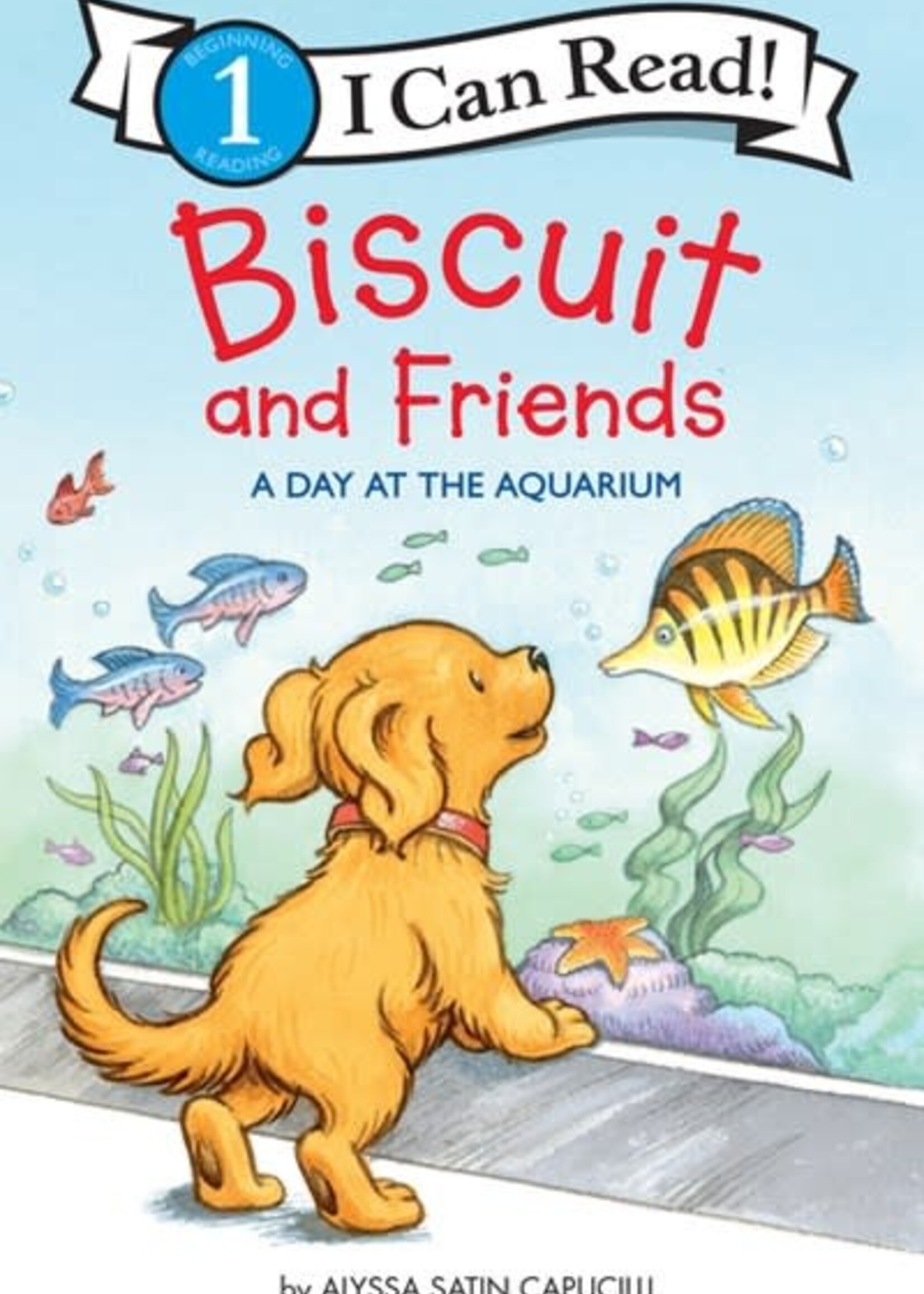 Biscuit Day at the Aquarium L1