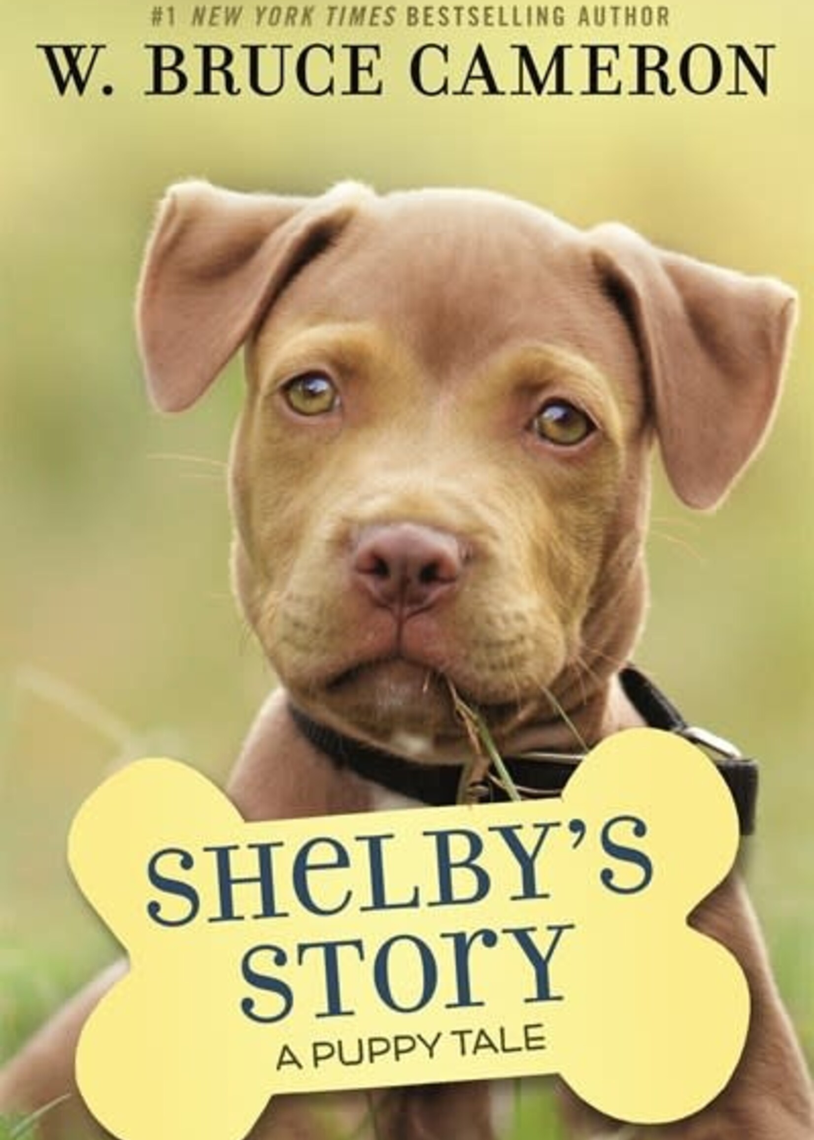 Puppy Tale 5 Shelby's Story