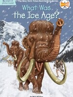 What Was the Ice Age?