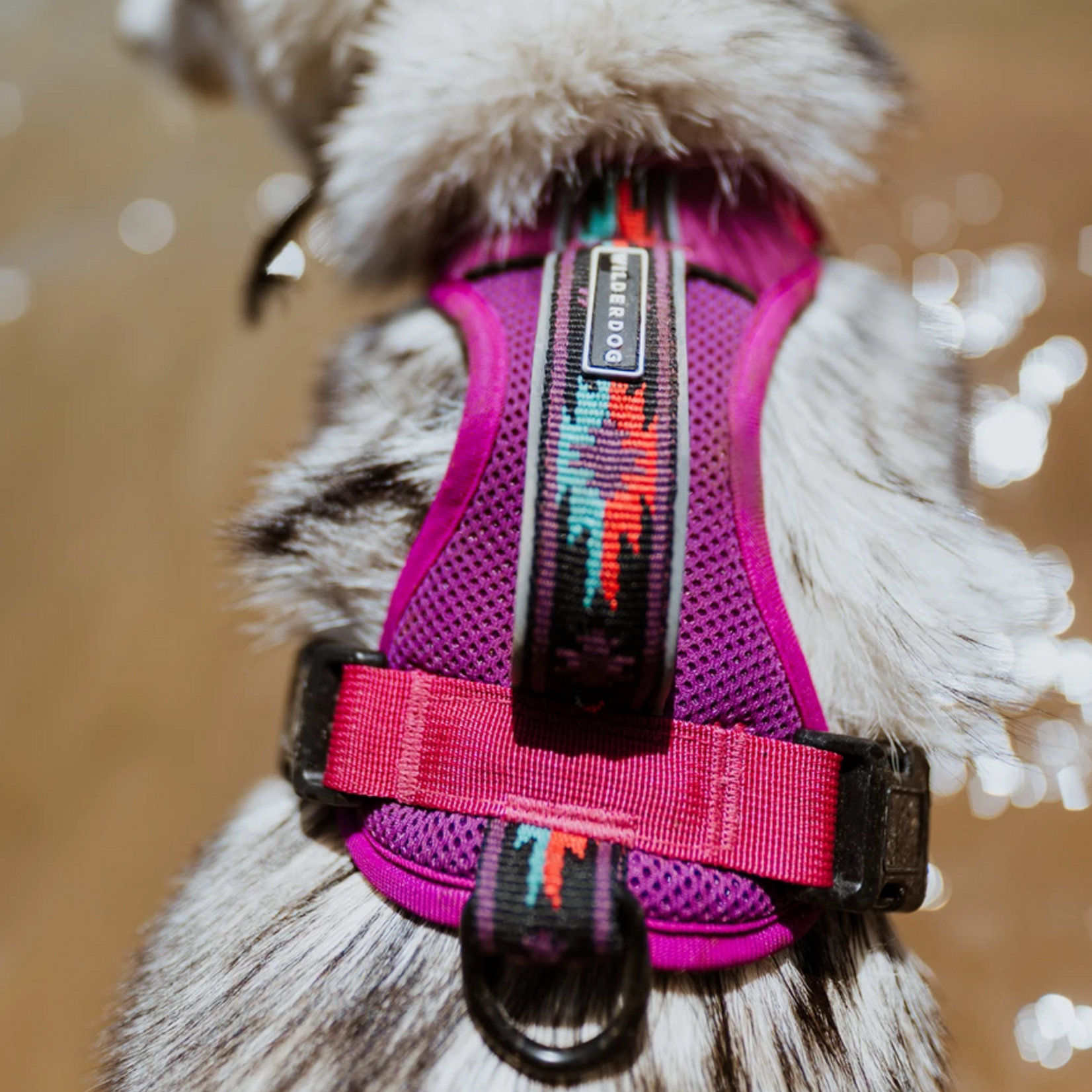 Wilderdog Dog harness