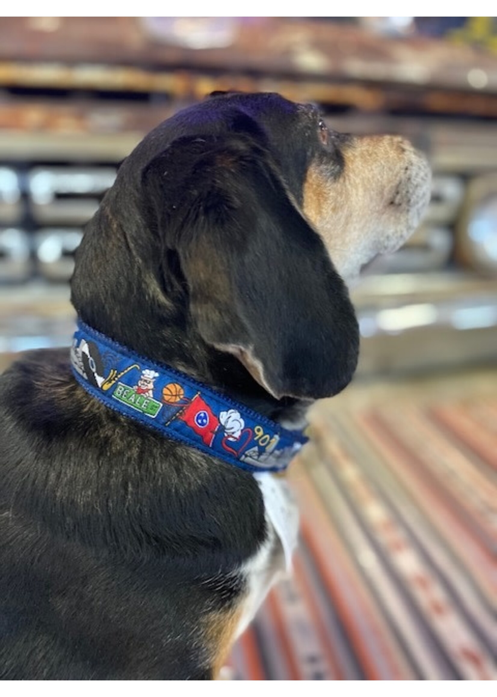 Belted Cow Memphis Scene Dog Collar