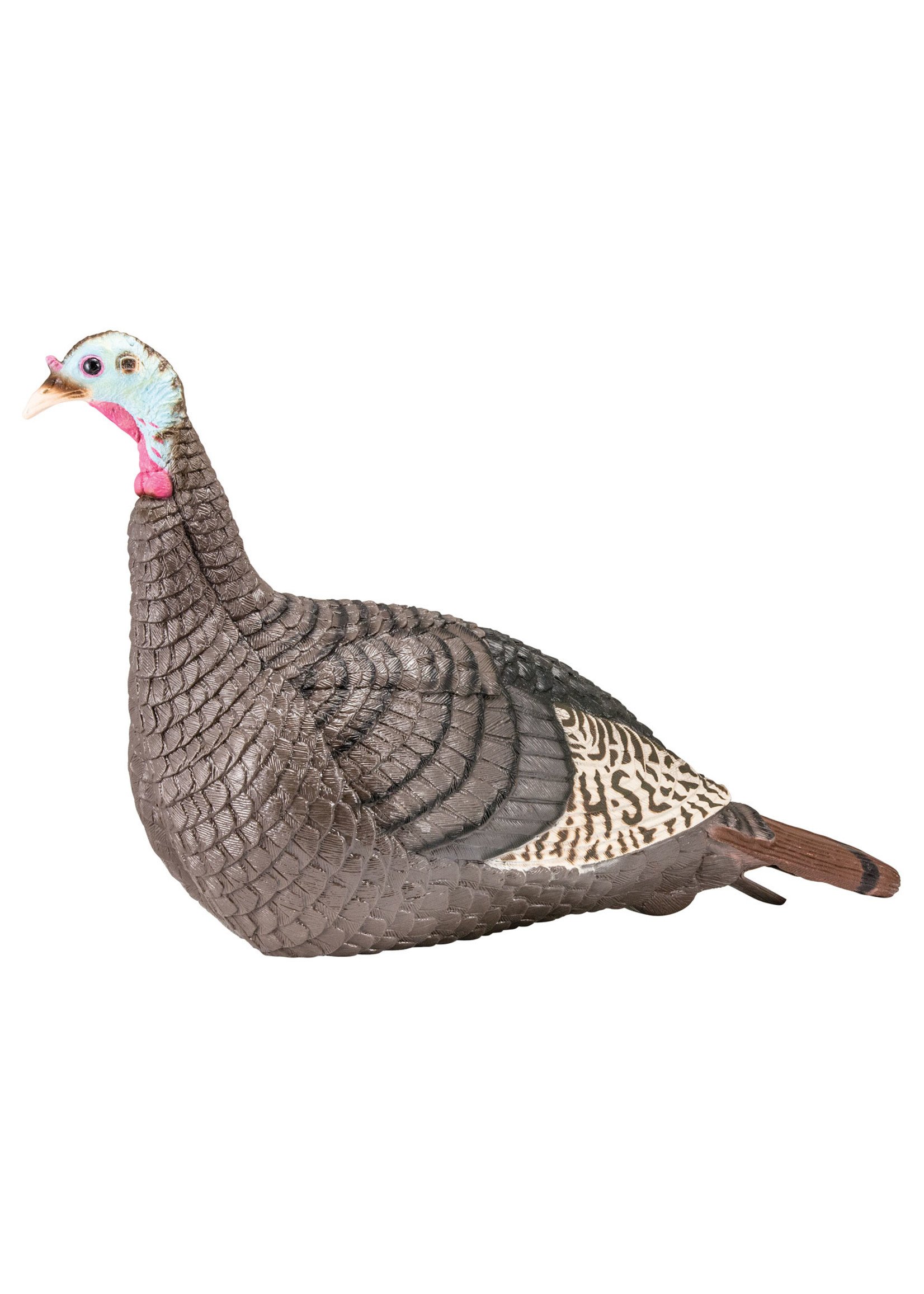 Hunters Specialties Hunter's Specialty Strut-Lite Hen