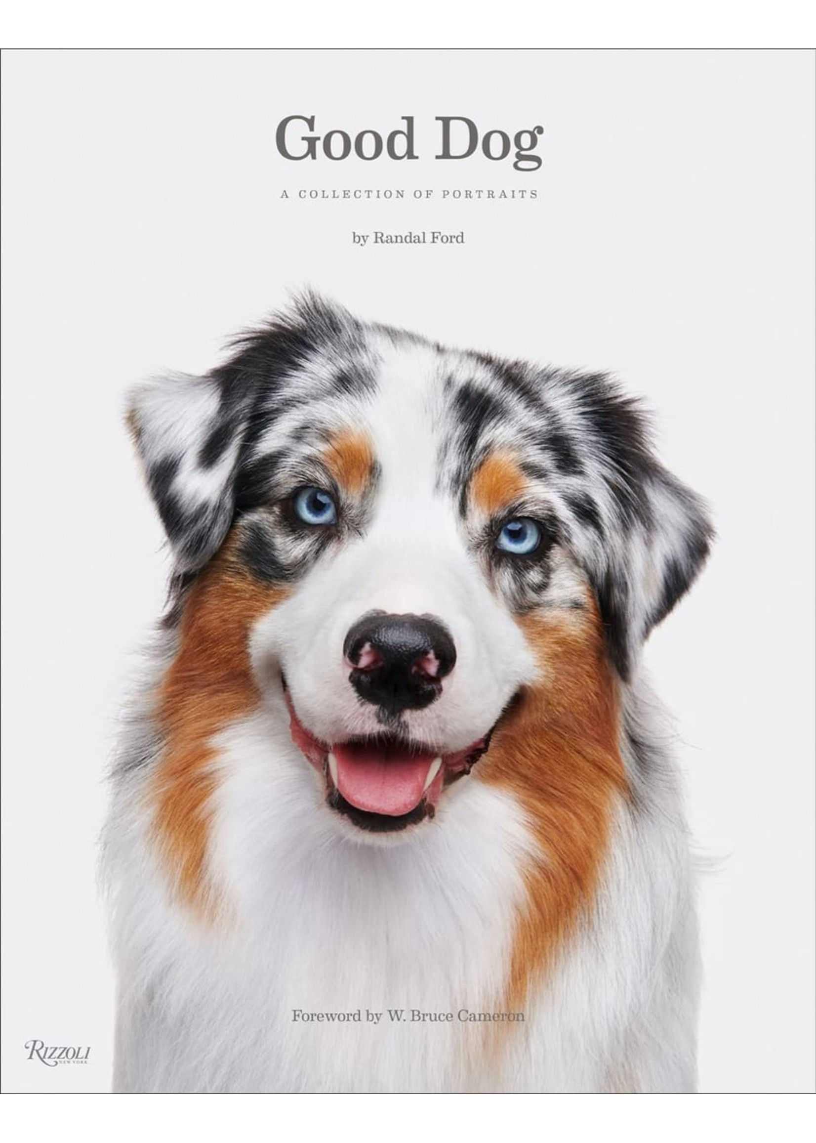 Common Ground Distributors Good Dog A Collection of Portraits