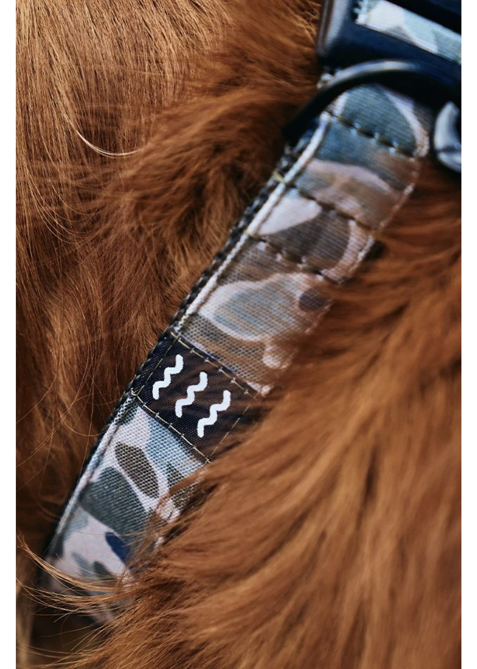 Free Fly Free Fly X Crew Lala Dog Collar