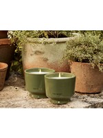 Thymes Citronella Grove Aromatic Candle Set