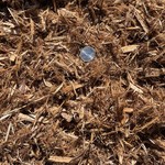 Cedar Mulch - FULL Cubic Yard