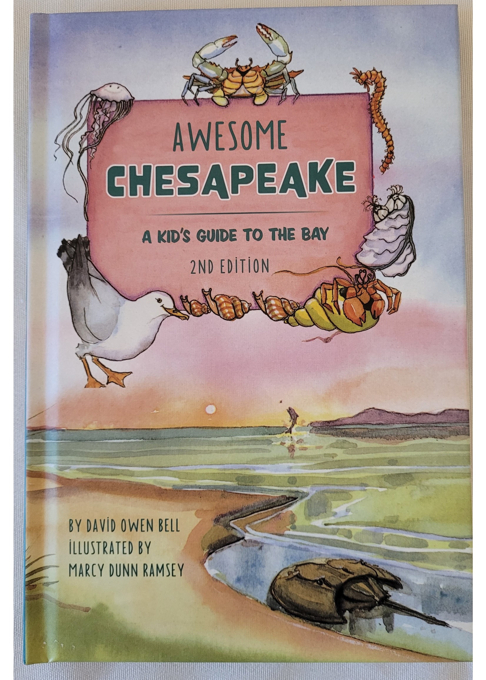 Awesome Chesapeake: A Kid's Guide to the Bay