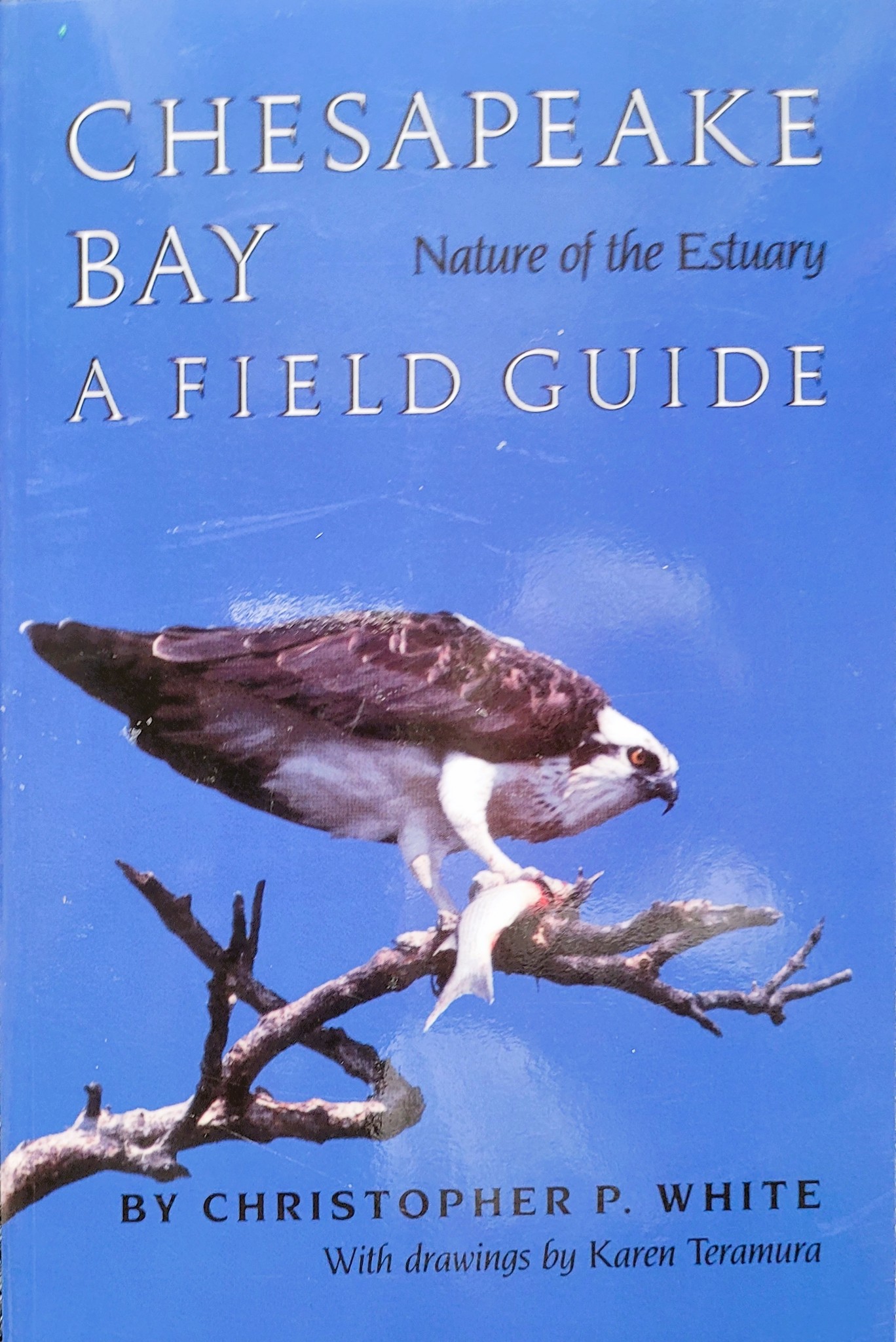 Chesapeake Bay Nature Field Guide Steamboat Era Museum Shop
