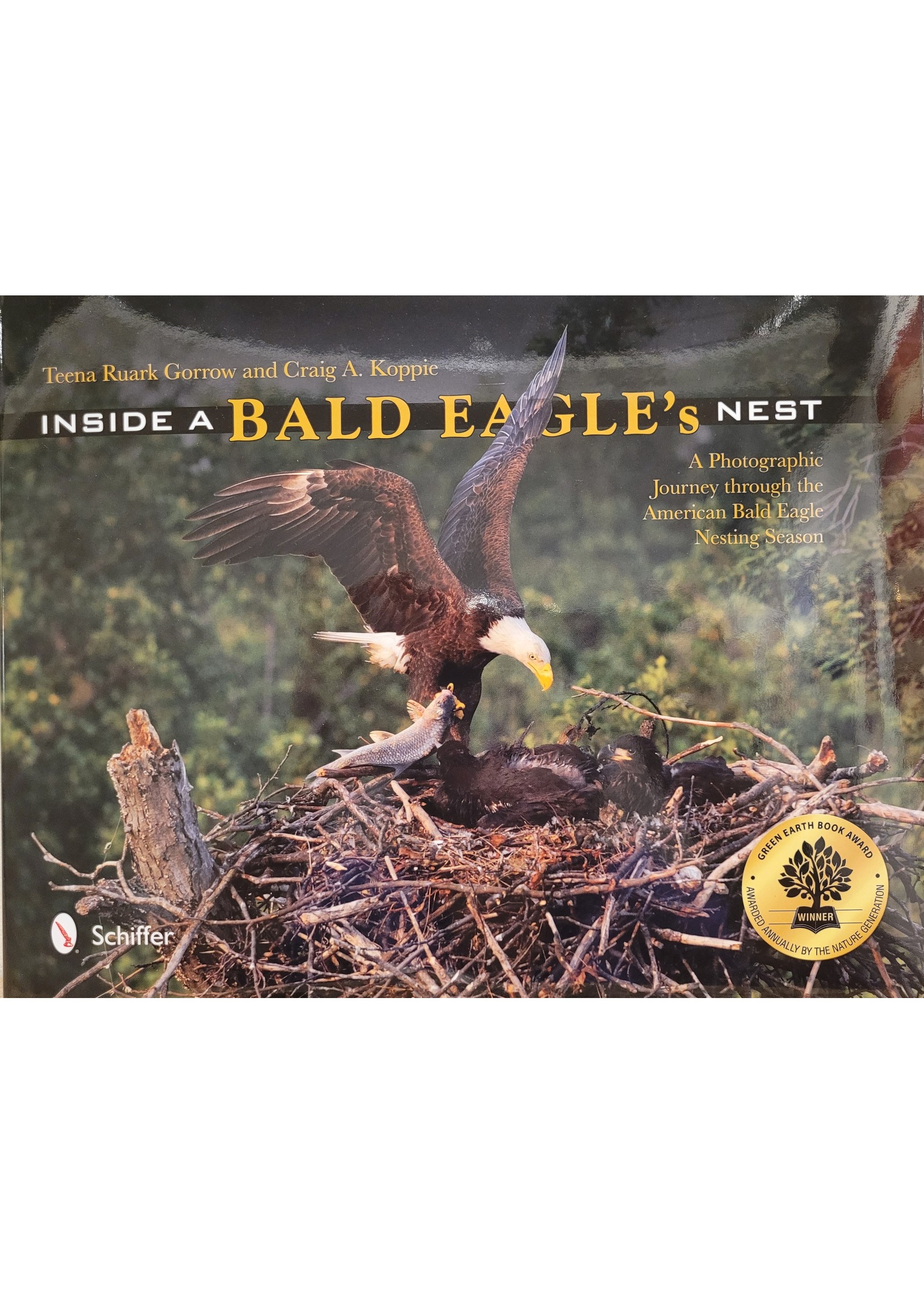 Inside a Bald Eagle's Nest