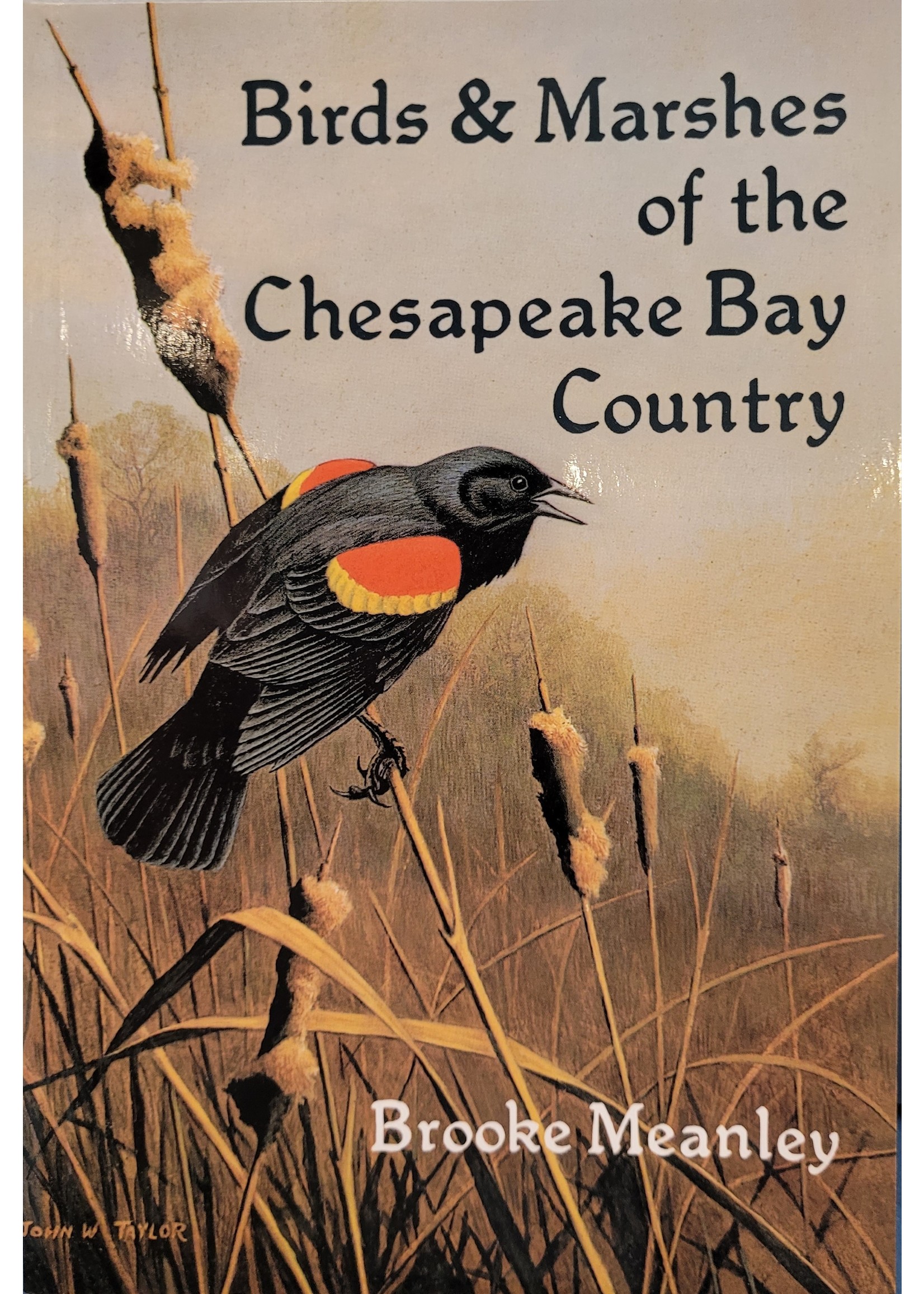 Birds & Marshes of the Chesapeake Bay Country