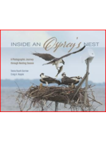 Inside an Osprey’s Nest