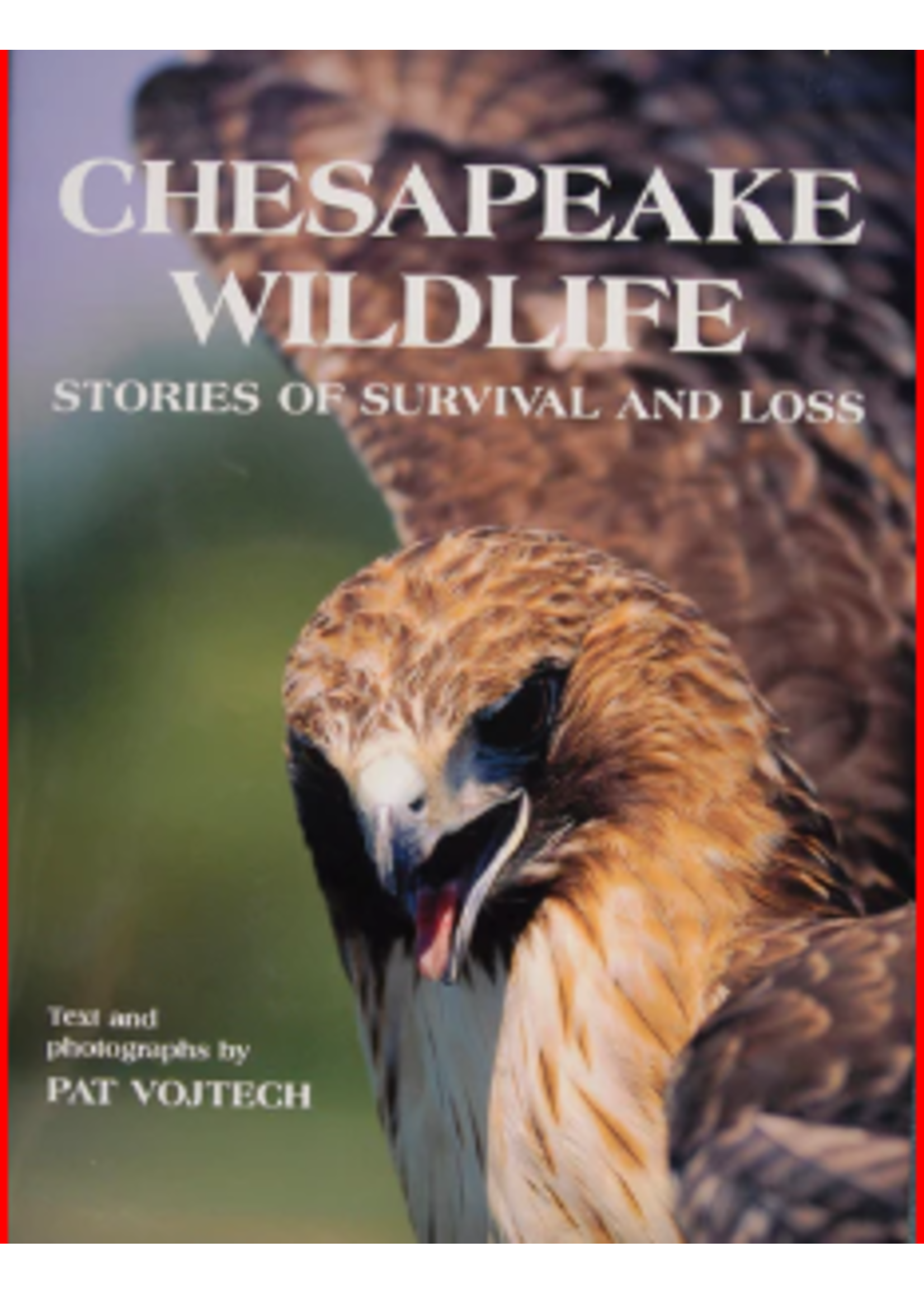 Schiffer Books Chesapeake Wildlife : Stories of Survival and Loss