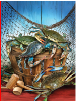 Heritage Puzzle Puzzle - Crab Catch, 550 pieces, 18x24