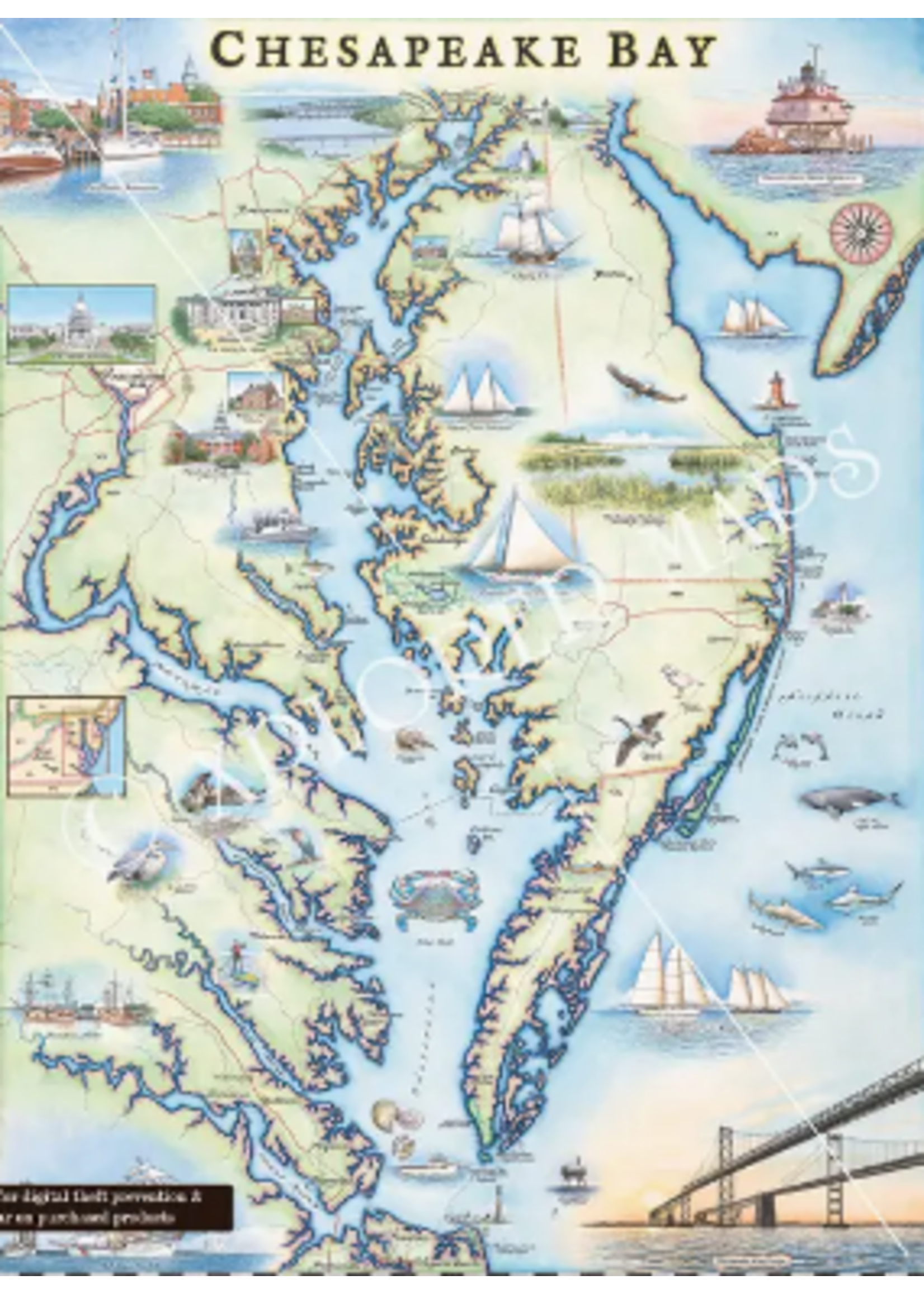 Faire - Xplorer Maps Chesapeake Bay Hand-Drawn Map - 18x24