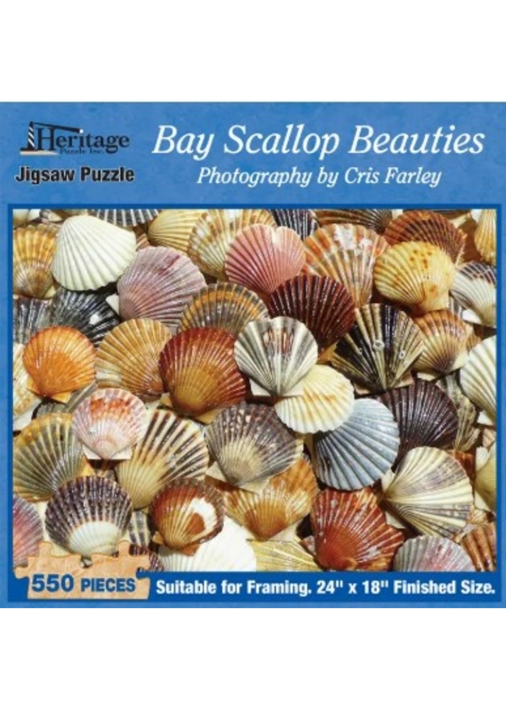 Faire - Heritage Puzzle Puzzle - Bay Scallop Beauties, 550 pieces, 24x18