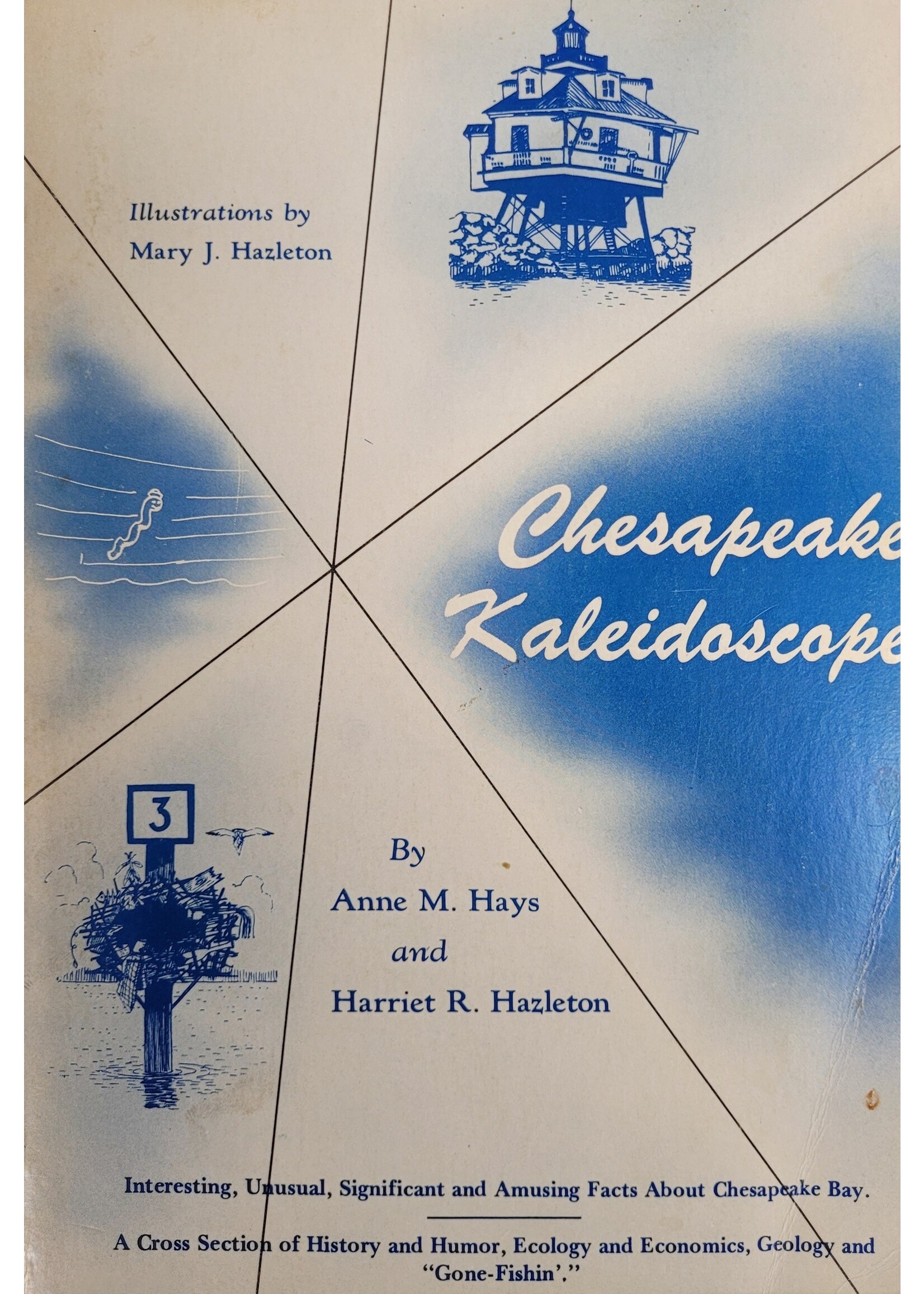 Library Overflow Chesapeake Kaleidoscope USED