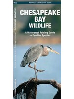 Faire - NBN Chesapeake Bay Wildlife Nature Guide