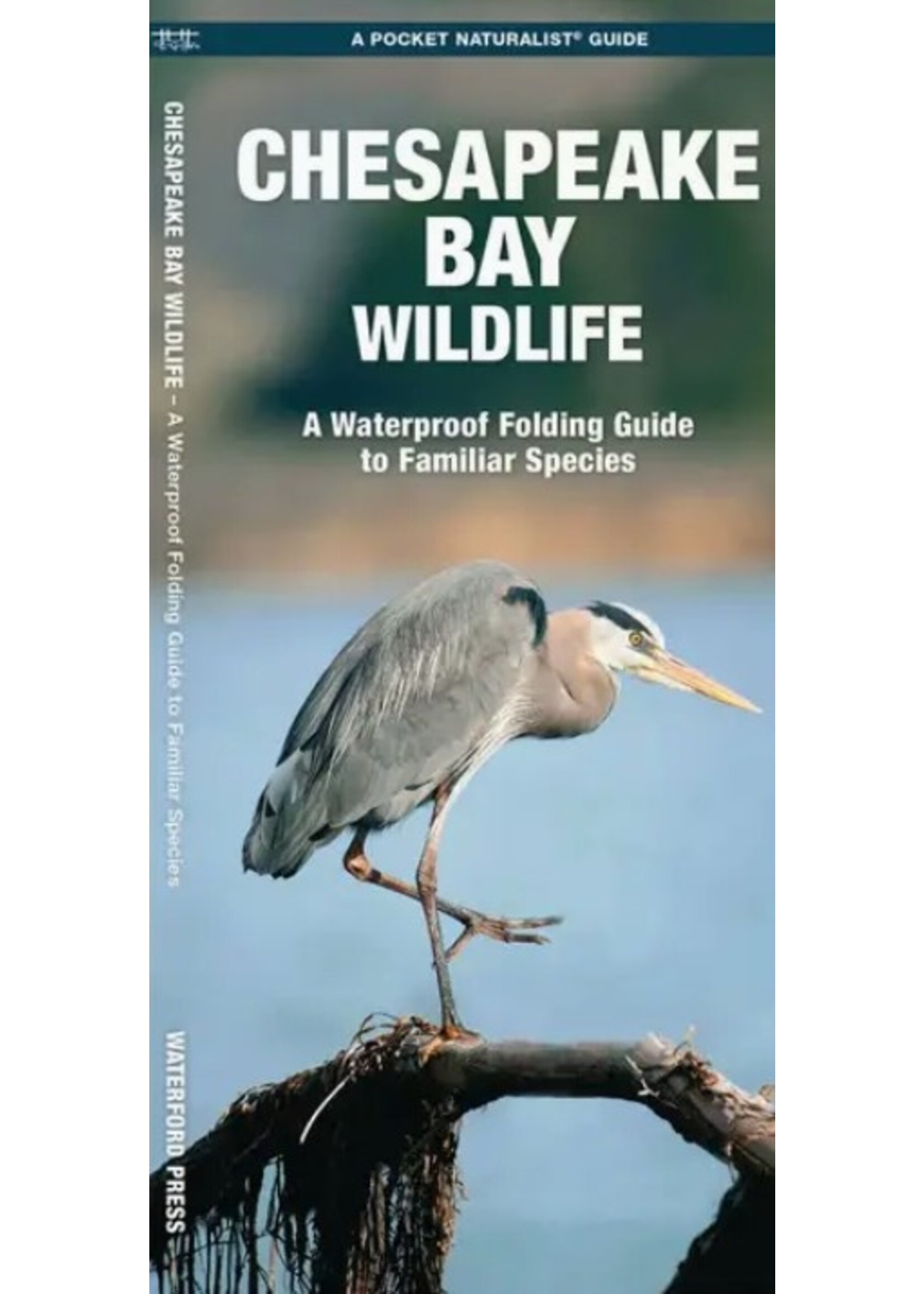 Faire - NBN Chesapeake Bay Wildlife Nature Guide