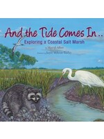 Faire - NBN And the Tide Comes In - Exploring a Coastal Marsh
